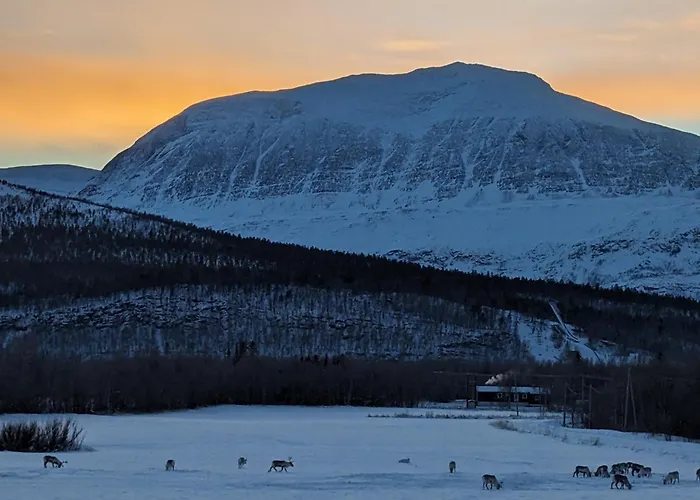Tommy And Ailins Cabin